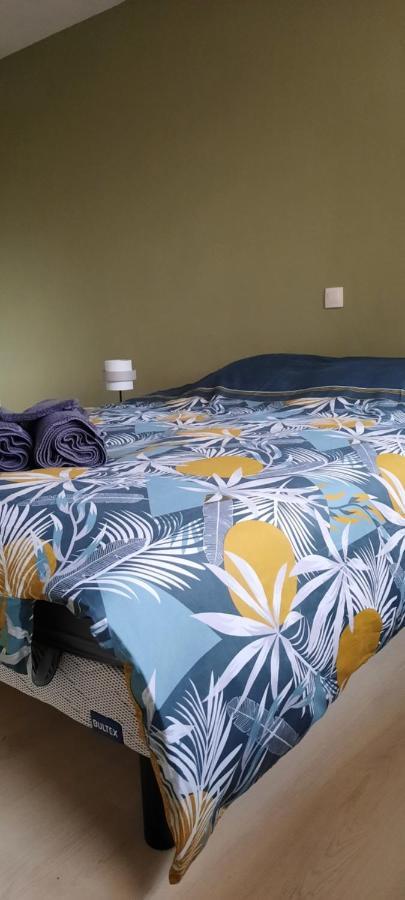 Appartement Entre Terre Et Mer Duinkerke Buitenkant foto